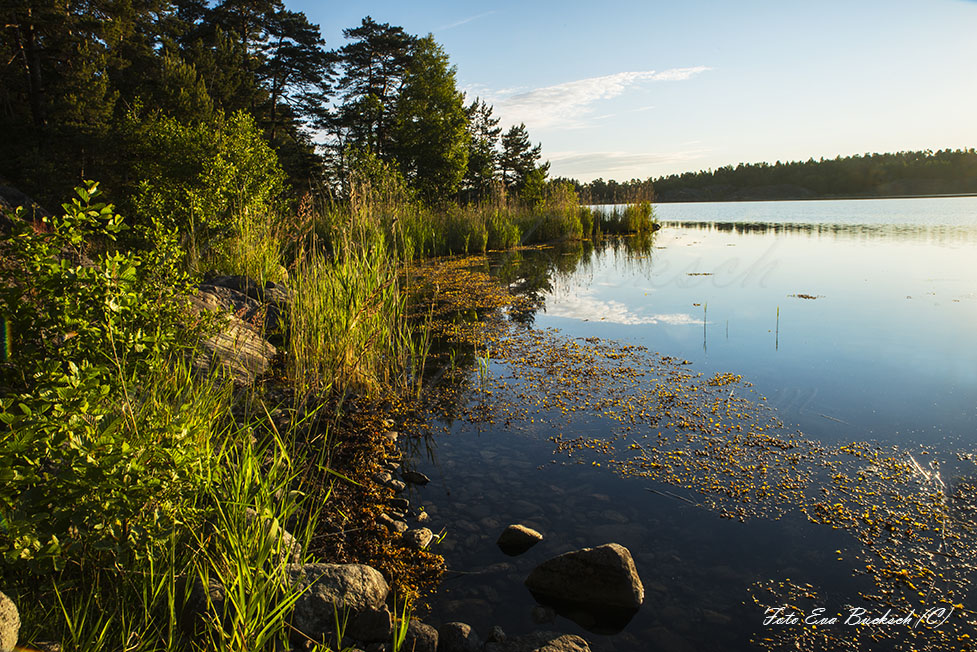 Foto av Eva Bucksc